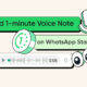 WhatsApp 1-minute voice note status
