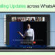 WhatsApp video call features