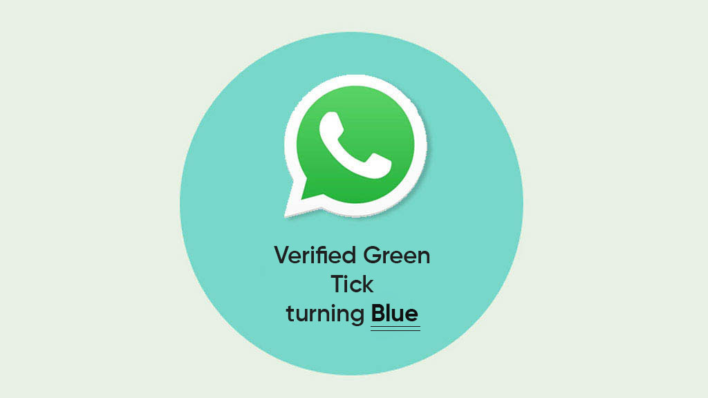 WhatsApp blue verification tick