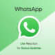 WhatsApp Like Status Updates