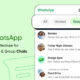 WhatsApp Lists individual group chats