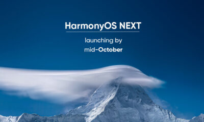 HarmonyOS NEXT stable October