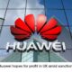 Huawei profit UK sanctions