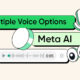 WhatsApp Meta AI voice options