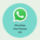 WhatsApp chat themes colors iOS