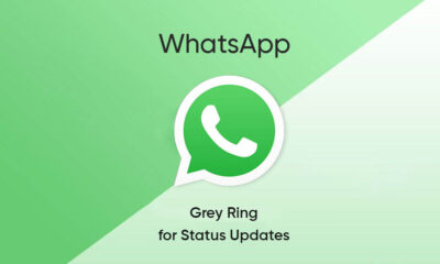 WhatsApp status updates grey ring