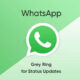 WhatsApp status updates grey ring