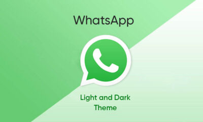 WhatsApp Business theme color