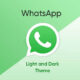 WhatsApp Business theme color