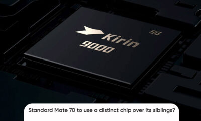 Standard Huawei Mate 70 chip