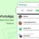 WhatsApp delete preset chat lists